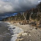 Herbst am Weststrand (Darß)