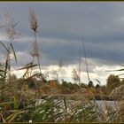 Herbst am Wienerbergteich