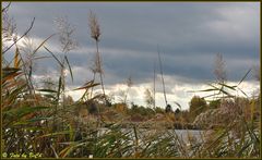 Herbst am Wienerbergteich