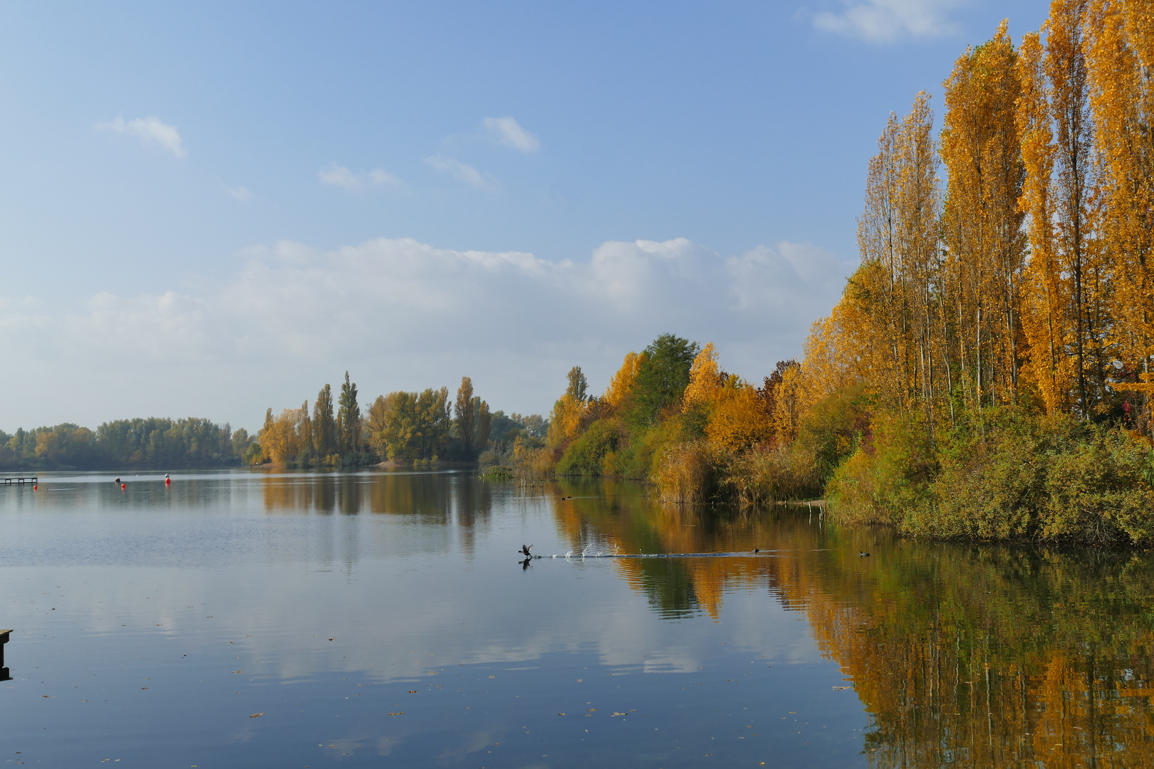 Herbst am Willersinnweiher