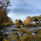 Herbst am Wipperkotten…