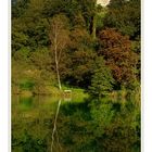 Herbst am Wöhrsee