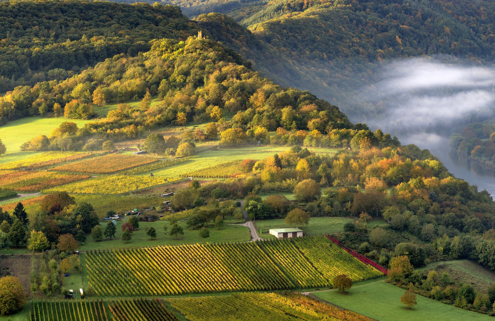 *Herbst am Wolfer Kloster*