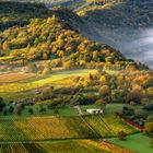 *Herbst am Wolfer Kloster*