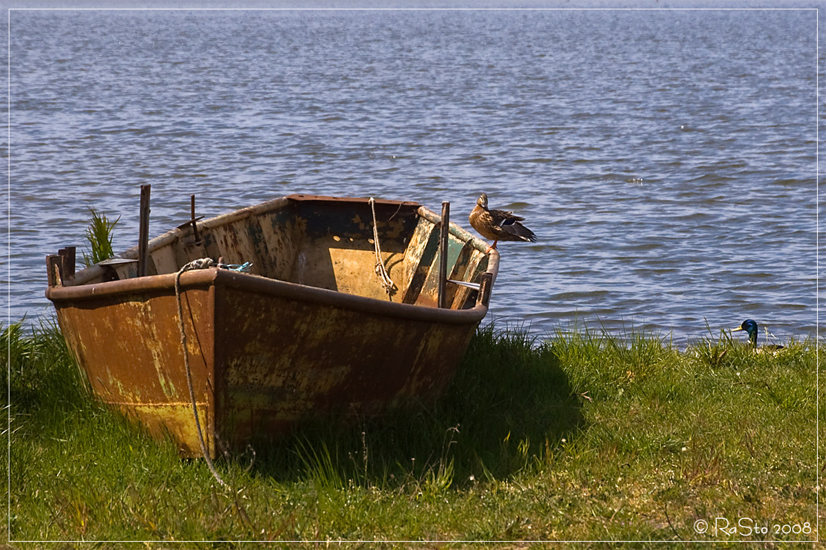 Herbst am Wolziger See