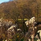 Herbst am Wupperufer