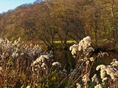 Herbst am Wupperufer
