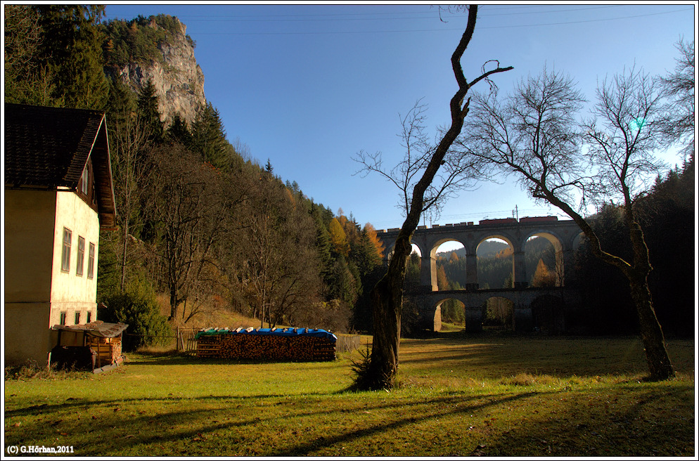 Herbst am "Zauberberg" II