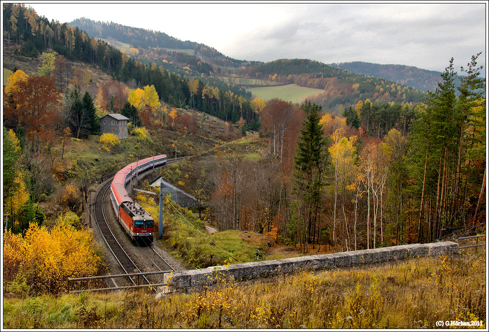 Herbst am "Zauberberg" VI