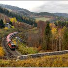 Herbst am "Zauberberg" VI