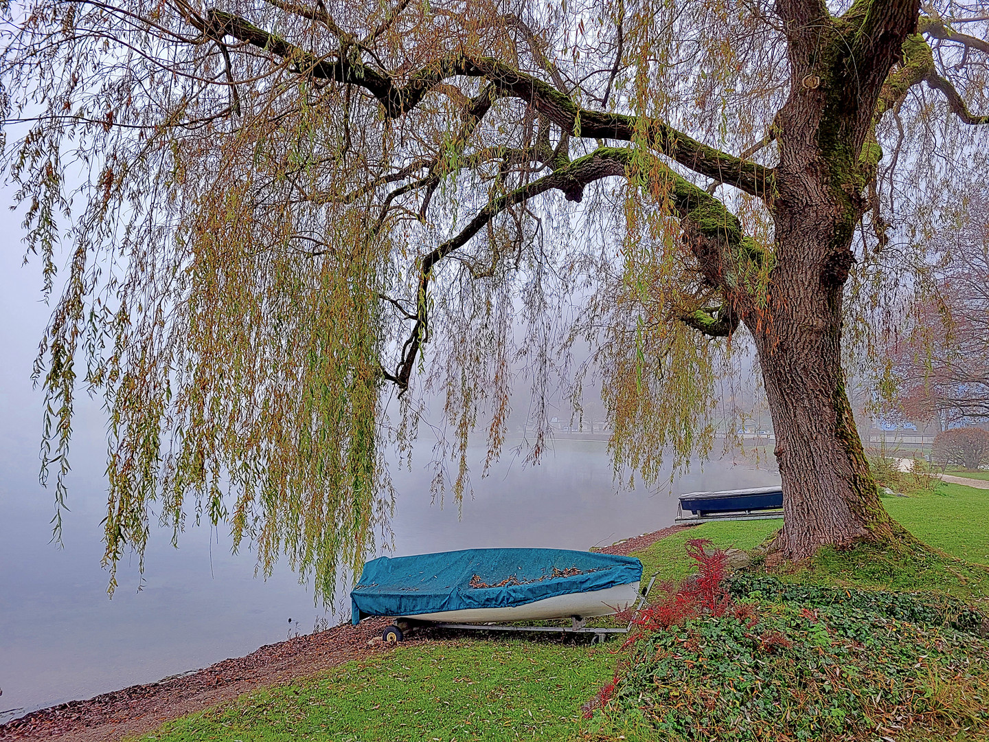 Herbst am Zeller See