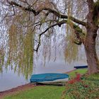 Herbst am Zeller See