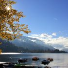 herbst am Zeller See