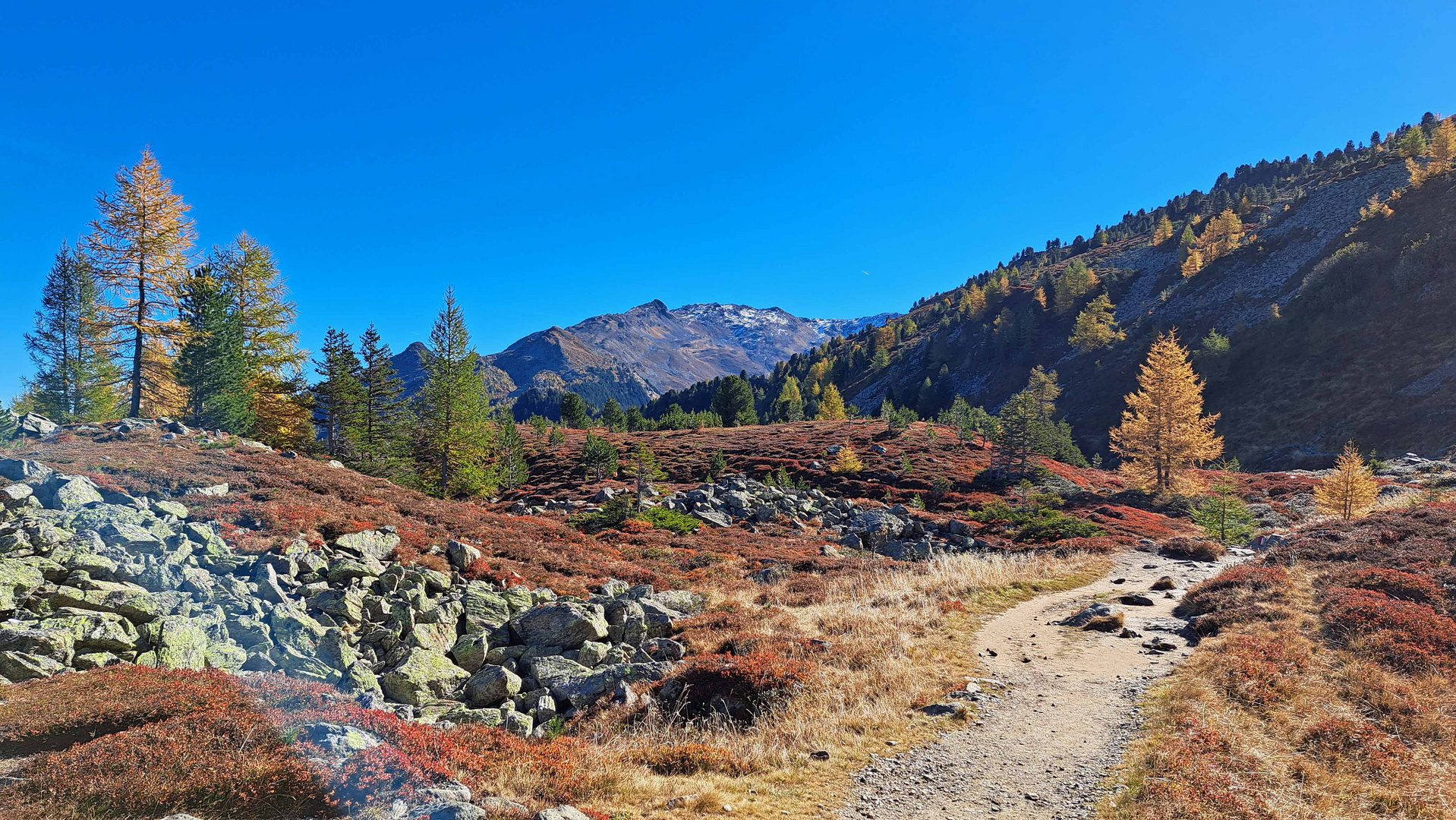 Herbst am Zirbenweg