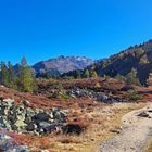 Herbst am Zirbenweg