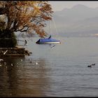 Herbst am Zürichersee