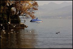 Herbst am Zürichersee