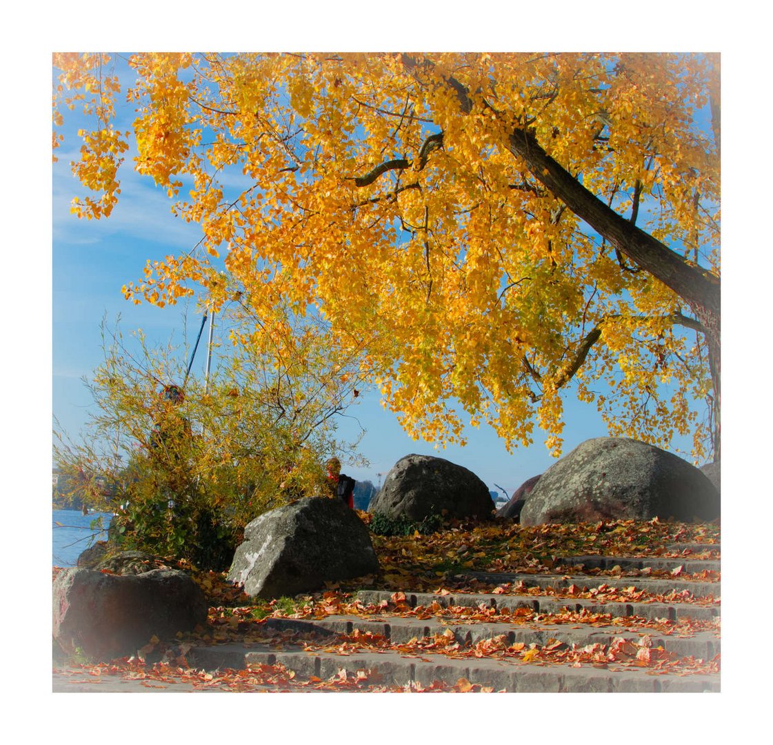 Herbst am Zürichsee