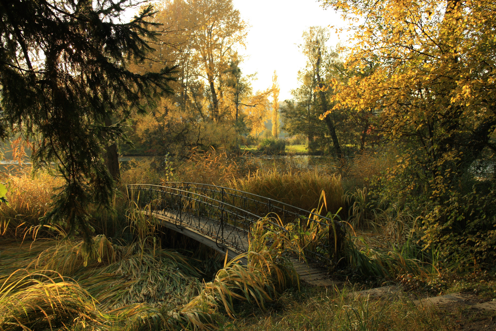 Herbst am Zürichsee