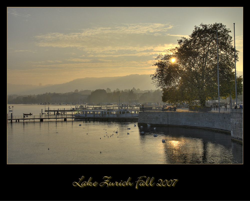 Herbst am Zürichsee