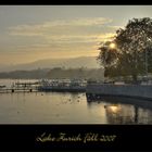 Herbst am Zürichsee