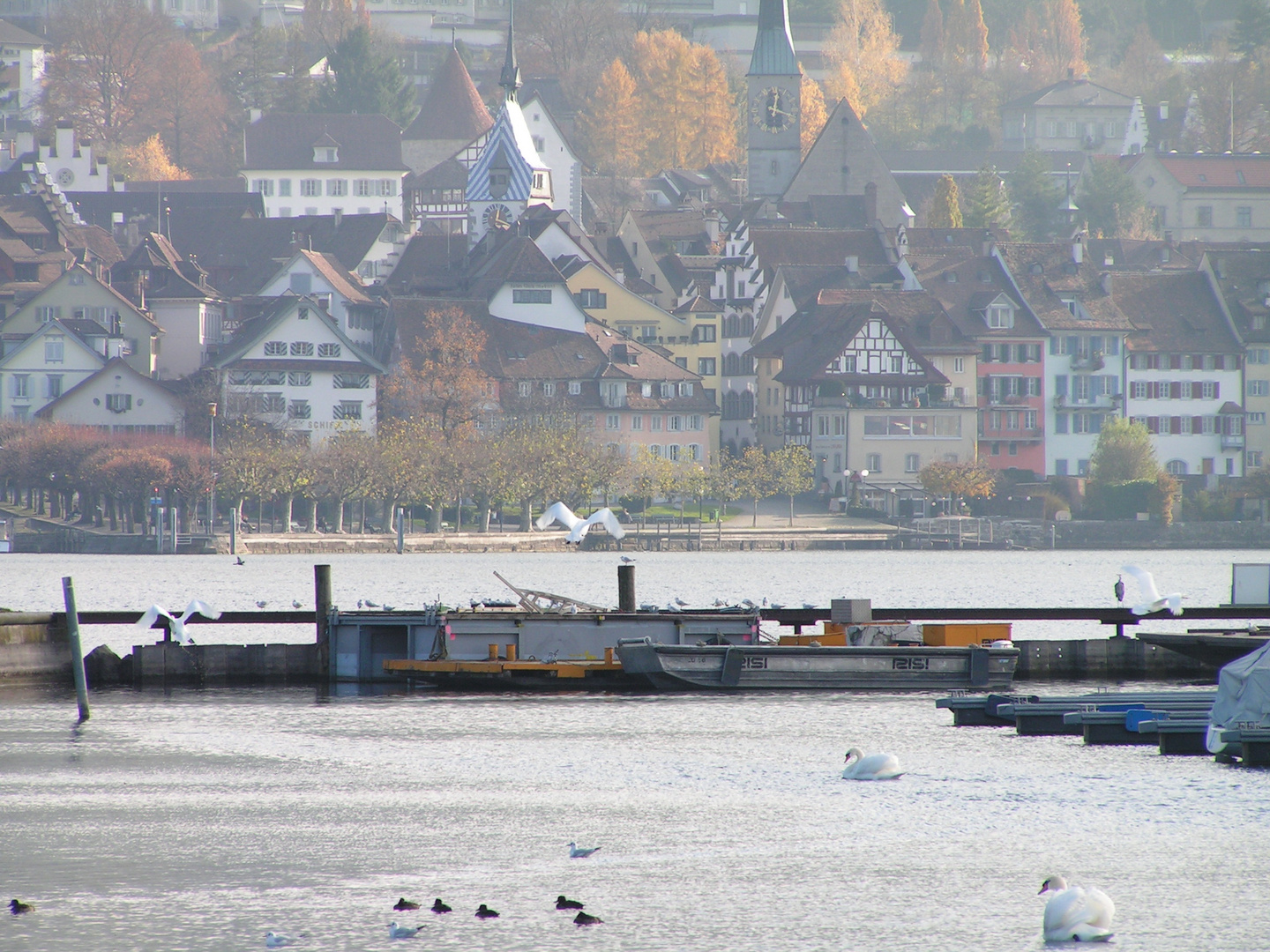 Herbst am Zugersee 2