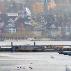 Herbst am Zugersee 2