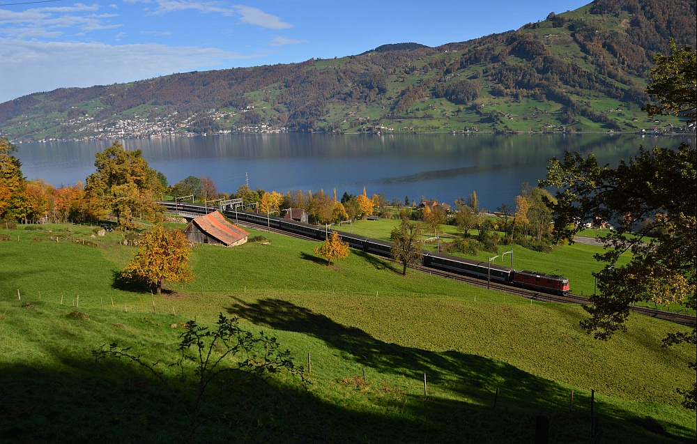 Herbst am Zugersee