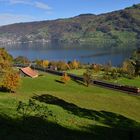 Herbst am Zugersee