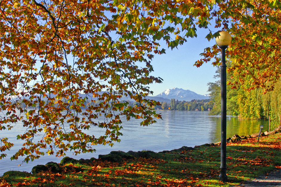 Herbst am Zugersee