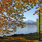 Herbst am Zugersee