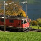 Herbst am Zugersee II