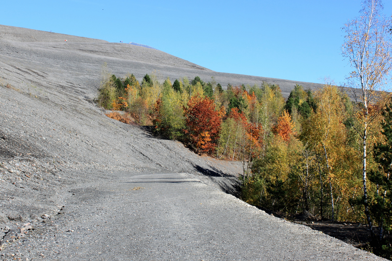 Herbst an Bergehalde