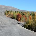 Herbst an Bergehalde