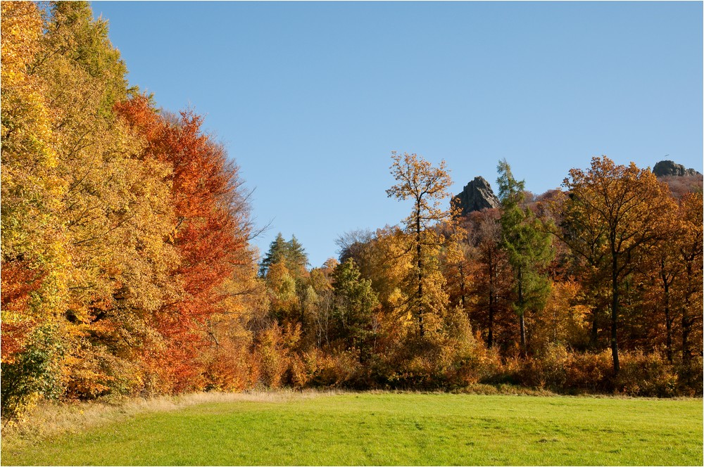 Herbst an den Bruchhauser Steinen ...