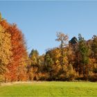 Herbst an den Bruchhauser Steinen ...