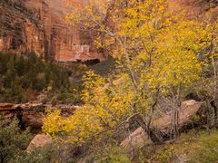 Herbst an den Emerald Pools