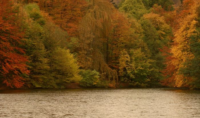 Herbst an den Externsteinen