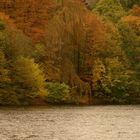 Herbst an den Externsteinen