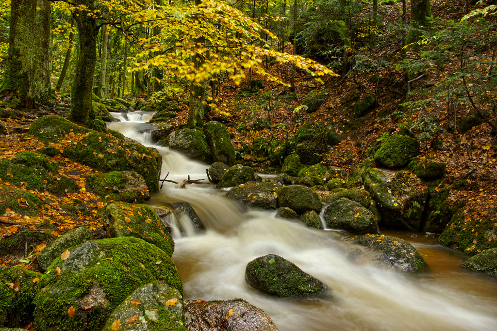Herbst an den Gertelsbachwasserfällen