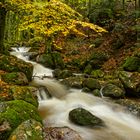 Herbst an den Gertelsbachwasserfällen