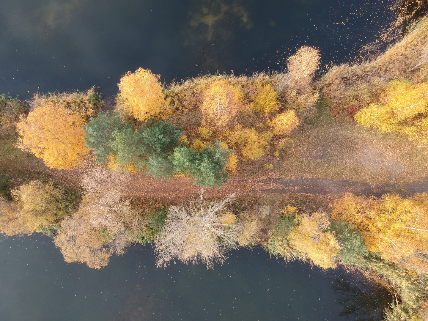 Herbst an den Kiesgruben