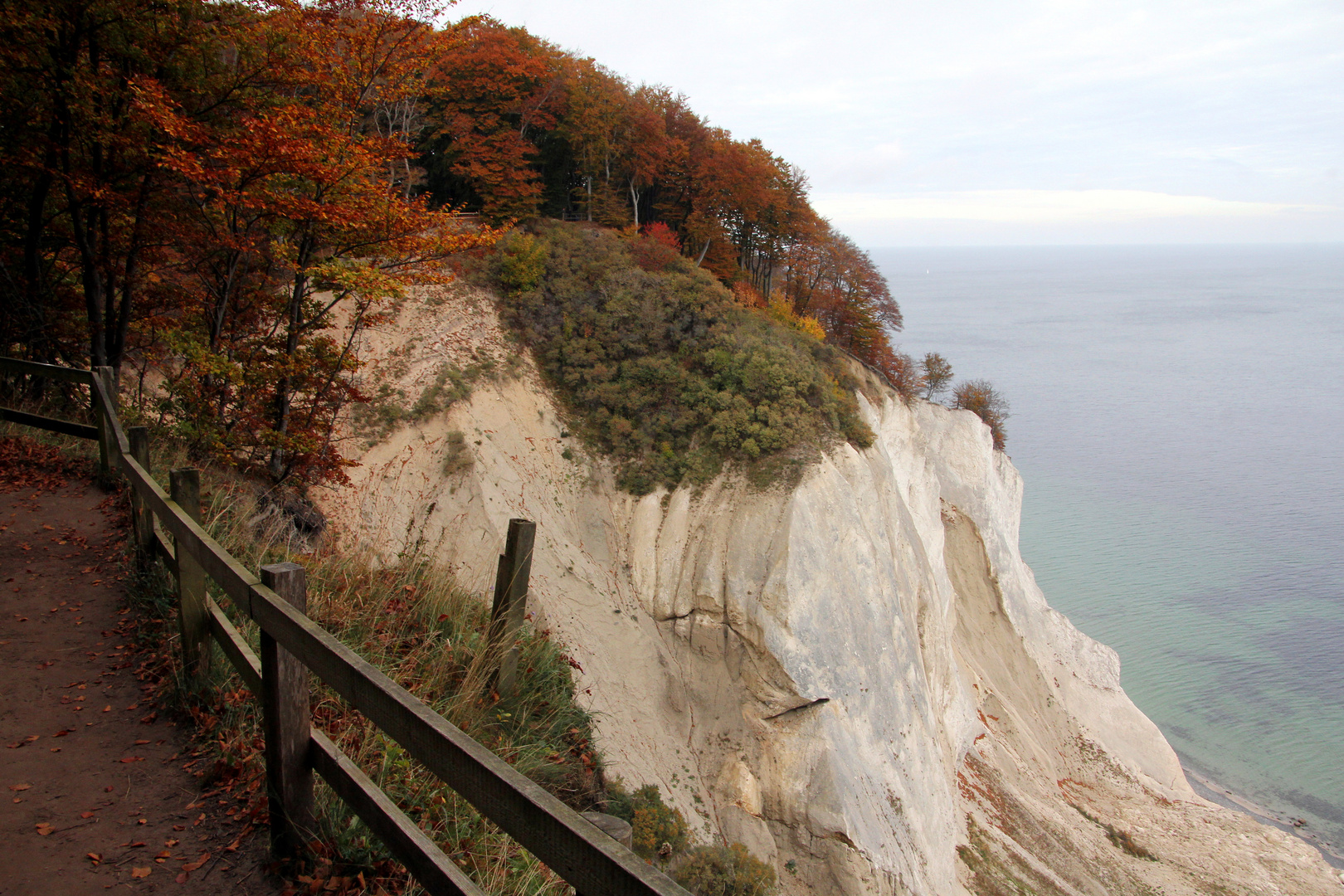 Herbst an den Klippen