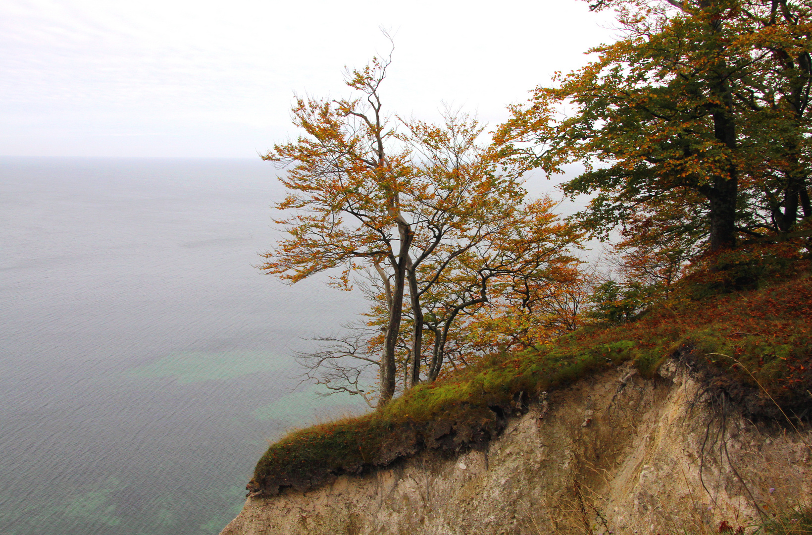 Herbst an den Klippen