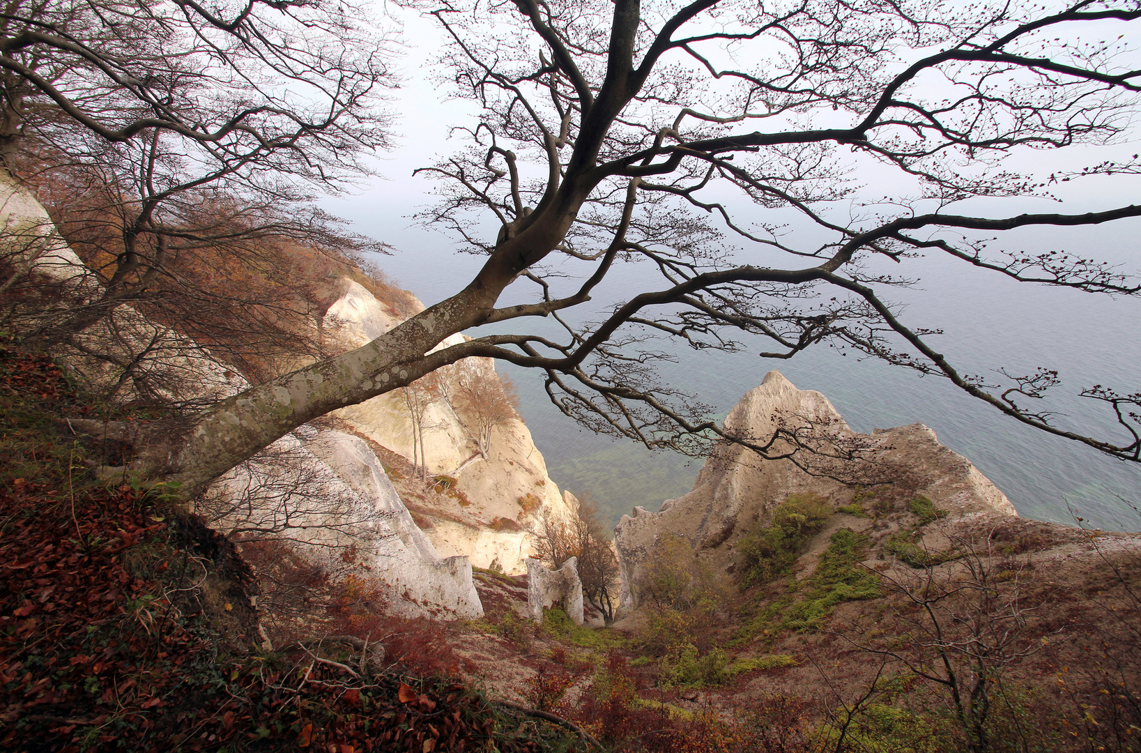 Herbst an den Klippen