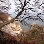 Herbst an den Klippen