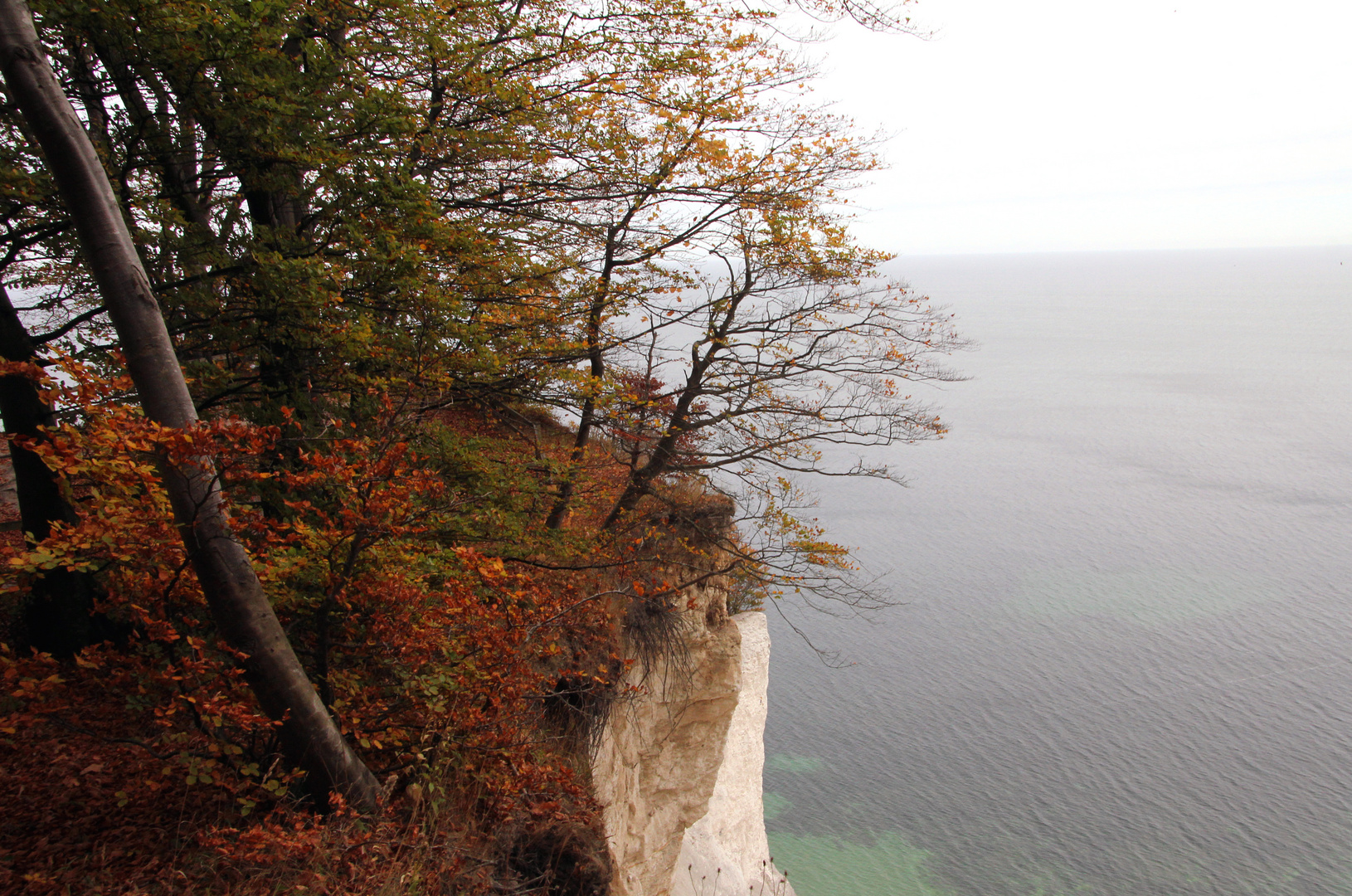 Herbst an den Klippen