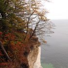 Herbst an den Klippen