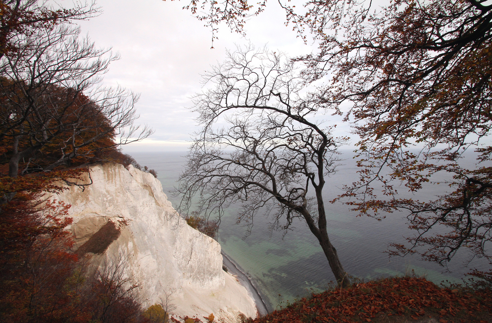 Herbst an den Kreideklippen