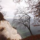 Herbst an den Kreideklippen